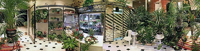 Магазин цветов в Новосибирске