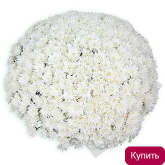 Букет Белый шар